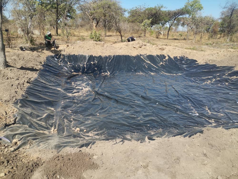 Fish Pond Construction